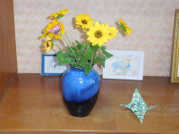 DSCN0143