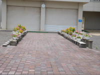 DSCN0147
