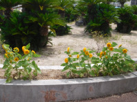 DSCN0152
