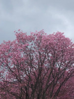 IMG_6153 (1)