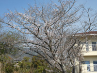 P1000646