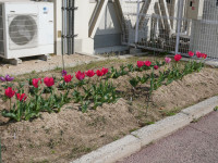 P1000659