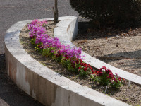 P1000657