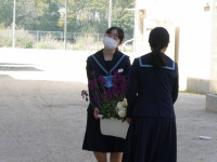 P1000762