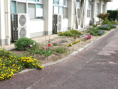 P1000964