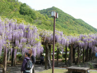 P1001291