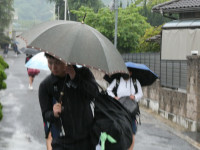 P1001531