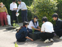 P1001956