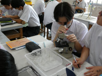 P1000420