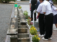 P1002613