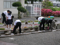 P1002622