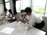 P1003375