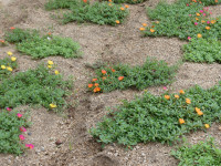 P1004750