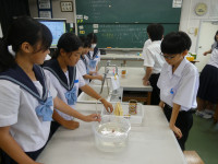 P1005401