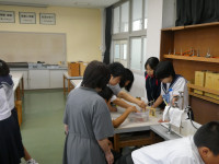 P1005406