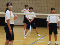 6 (2)