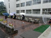 P1005084
