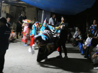 P1005936