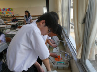 P1006292